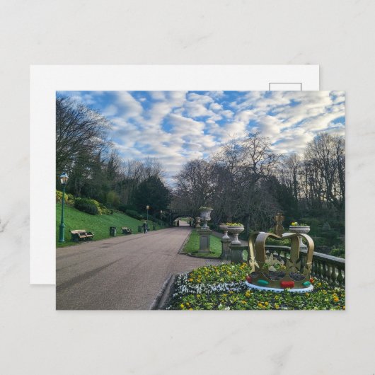 春朝 ポストカード (正面/裏面)