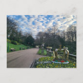 春朝 ポストカード (正面)