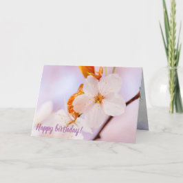 春期の桜花の正面視 カード