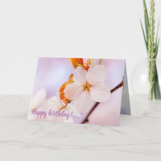 春期の桜花の正面視 カード (正面)