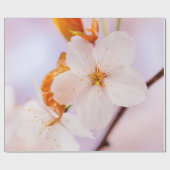 春期の桜花の正面視 ラッピングペーパー (フラット)