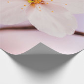 春期の桜花の正面視 ラッピングペーパー (角)