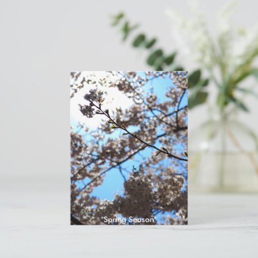 春期 ポストカード (スタンド正面)