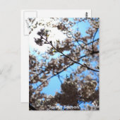 春期 ポストカード (正面/裏面)