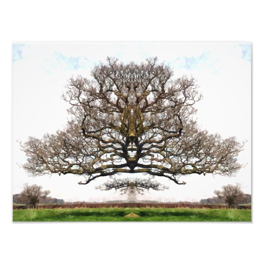 春木 フォトプリント            (正面)