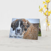 春来はセント・ベルナルド・キュート・バニー カード (黄色い花)