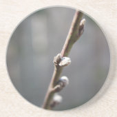 春来は コースター (正面)