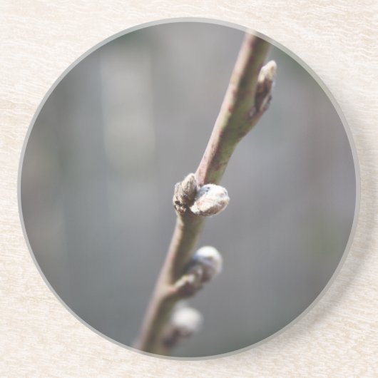 春来は コースター (正面)