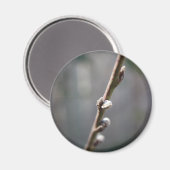 春来は マグネット (正面/裏面)