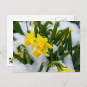 春来時に ポストカード (正面/裏面)