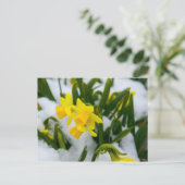 春来時に ポストカード (スタンド正面)