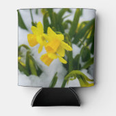 春来時に 缶クーラー (正面)