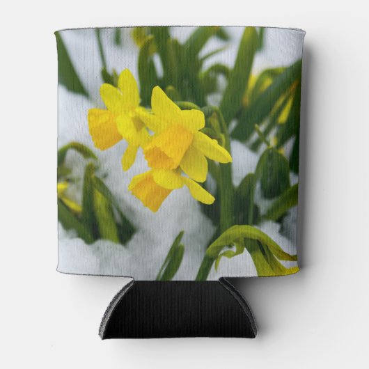 春来時に 缶クーラー (正面)