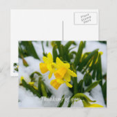 春来時の考えハガキ ポストカード (正面/裏面)