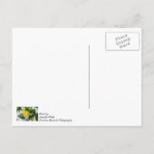 春来時の考えハガキ ポストカード (裏面)