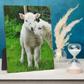 春板 フォトプラーク (側面)