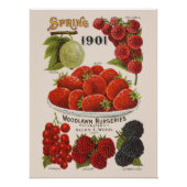 春果実 ポスター (正面)