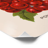 春果実 ポスター (コーナー)