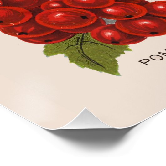 春果実 ポスター (コーナー)