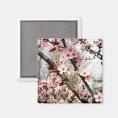 春梅花写真 マグネット (正面/裏面)