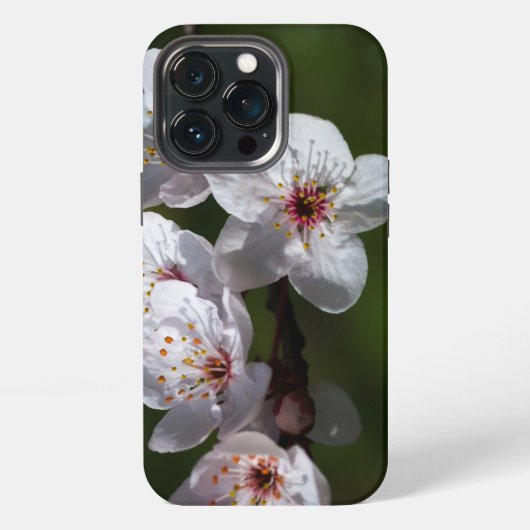 春梅 iPhoneケース (裏面)