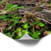 春森林写真 ポスター (角)