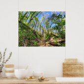 春森林写真 ポスター (キッチン)