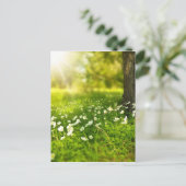 春森林花の木 ポストカード (スタンド正面)