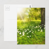 春森林花の木 ポストカード (正面/裏面)