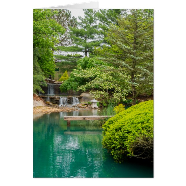 春植物美しい (正面)