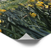 春水仙ガーデンポスター ポスター (角)