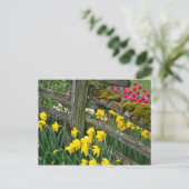 春水仙プリント葉書 ポストカード (スタンド正面)