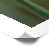 春水仙 ポスター (角)