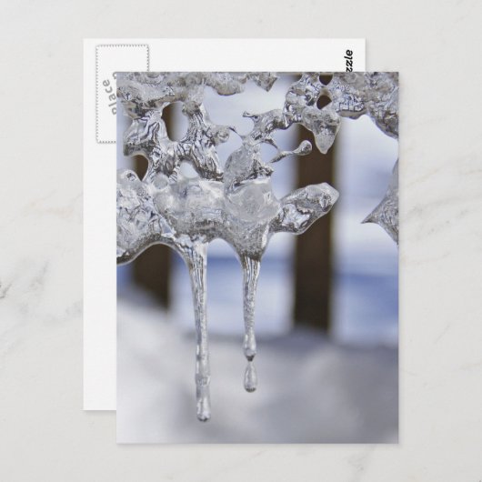 春氷柱 ポストカード (正面/裏面)