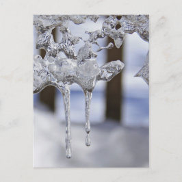 春氷柱 ポストカード