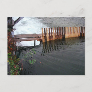 春流出 ポストカード