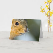 春準備完了 カード (黄色い花)