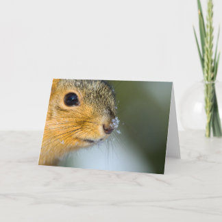 春準備完了 カード