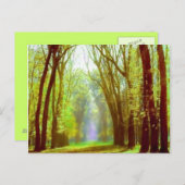 春灯 ポストカード (正面/裏面)