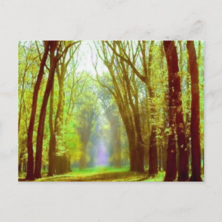 春灯 ポストカード