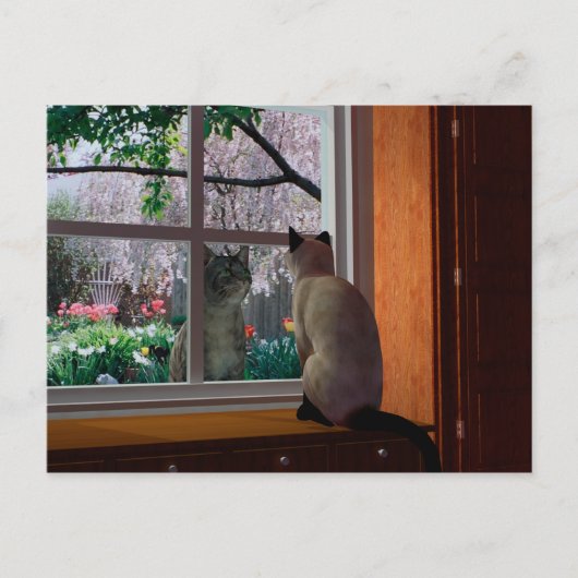 春熱 ポストカード (正面)