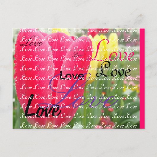 春爆発 ポストカード (正面)