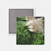 春玉ねぎレタス マグネット (正面/裏面)