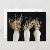 春玉ねぎ3 ポストカード (正面/裏面)