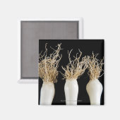 春玉ねぎ3 マグネット (正面/裏面)