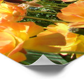 春球根コテージガーデンフローラ花ポスター ポスター (角)