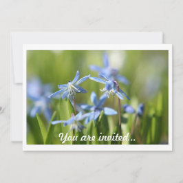 春球根招待状 招待状