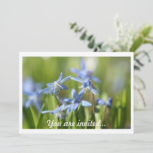 春球根招待状 招待状 (スタンド正面)