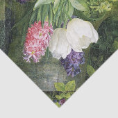 春球植物組織 薄葉紙 (詳細)