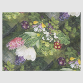 春球植物組織 薄葉紙